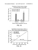 Transgenic animal model of bone mass modulation diagram and image