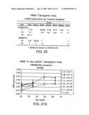 Transgenic animal model of bone mass modulation diagram and image