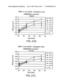 Transgenic animal model of bone mass modulation diagram and image