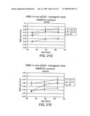 Transgenic animal model of bone mass modulation diagram and image