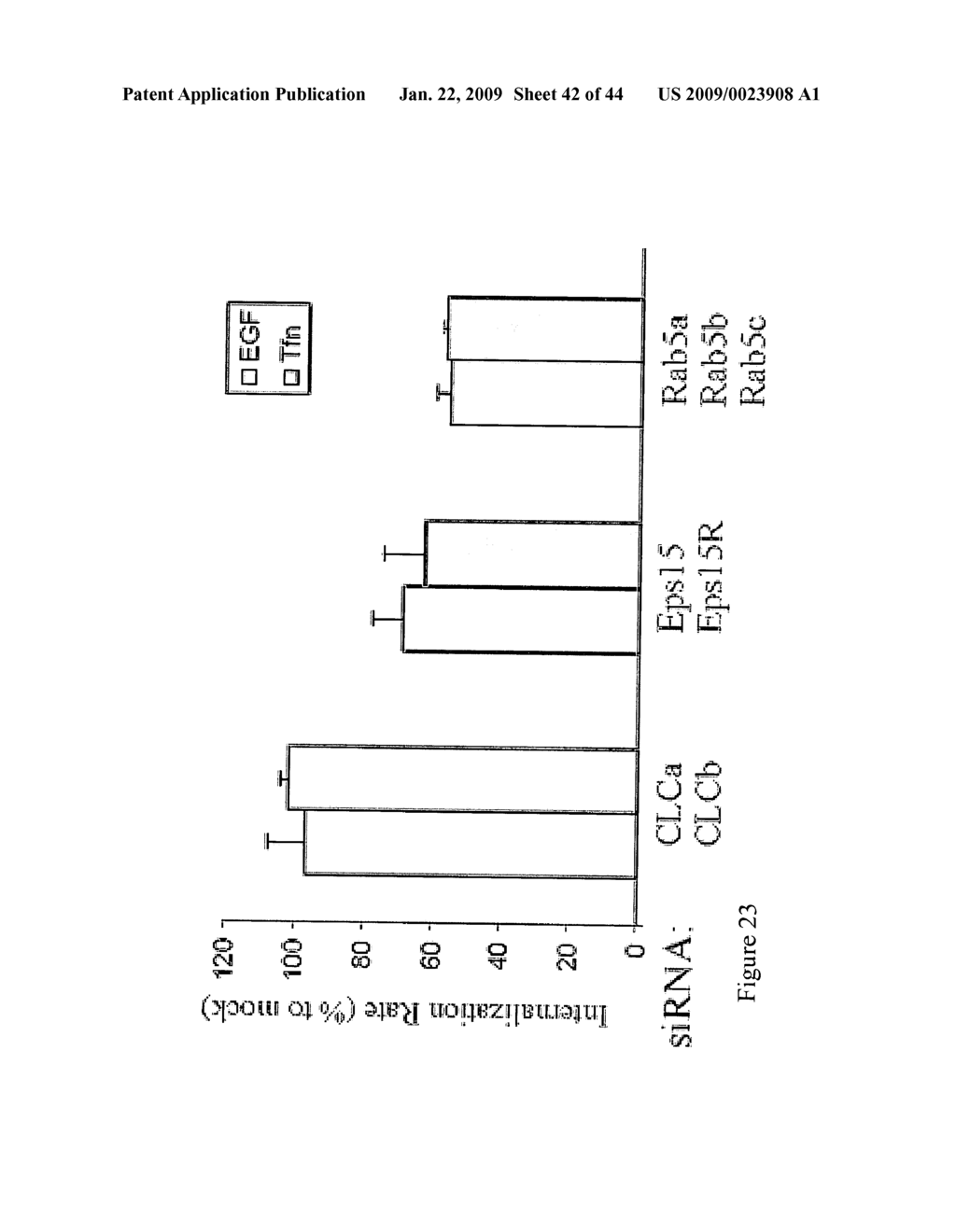 siRNA targeting ribosomal protein S2 (RPS2) - diagram, schematic, and image 43