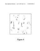 METHODS FOR PLANT REGENERATION, TRANSFORMATION AND PRODUCTION OF INSECT RESISTANT TRANSGENIC OKRA diagram and image