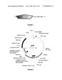 Plant Yield Improvement By Ste20-Like Gene Expression diagram and image