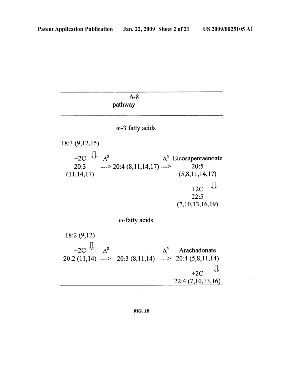 DESATURASES AND METHODS OF USING THEM FOR SYNTHESIS OF POLYUNSATURATED FATTY ACIDS - diagram, schematic, and image 03