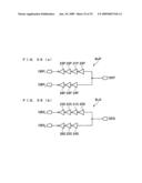 Driving Circuit of Display Device, Method of Driving Display Device, Method of Driving Signal Line, and Display Device diagram and image