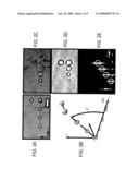 HOLOGRAPHIC MICROSCOPY OF HOLOGRAPHICALLY TRAPPED THREE-DIMENSIONAL STRUCTURES diagram and image