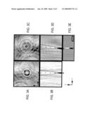 HOLOGRAPHIC MICROSCOPY OF HOLOGRAPHICALLY TRAPPED THREE-DIMENSIONAL STRUCTURES diagram and image