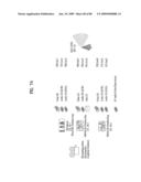 DIGITAL BROADCAST SYSTEM FOR TRANSMITTING/RECEIVING DIGITAL BROADCAST DATA, AND DATA PROCESSING METHOD FOR USE IN THE SAME diagram and image