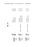 DIGITAL BROADCASTING SYSTEM AND DATA PROCESSING METHOD diagram and image