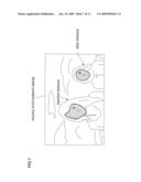 COLOR ADJUSTING APPARATUS, IMAGE FORMING APPARATUS, COLOR ADJUSTING METHOD AND COMPUTER READABLE MEDIUM diagram and image