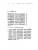 Rotavirus Vaccine Inducing Heterotypic Cross Protection diagram and image