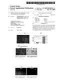 Preparation of multipotent stem cells and the use thereof diagram and image