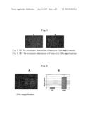 Preparation of multipotent stem cells and the use thereof diagram and image