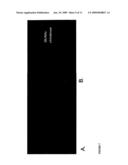 Methods for Altering the Reactivity of Plant Cell Walls diagram and image