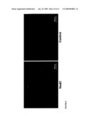 Methods for Altering the Reactivity of Plant Cell Walls diagram and image