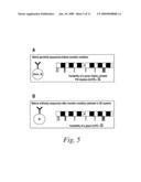 SEQUENCE BASED ENGINEERING AND OPTIMIZATION OF SINGLE CHAIN ANTIBODIES diagram and image