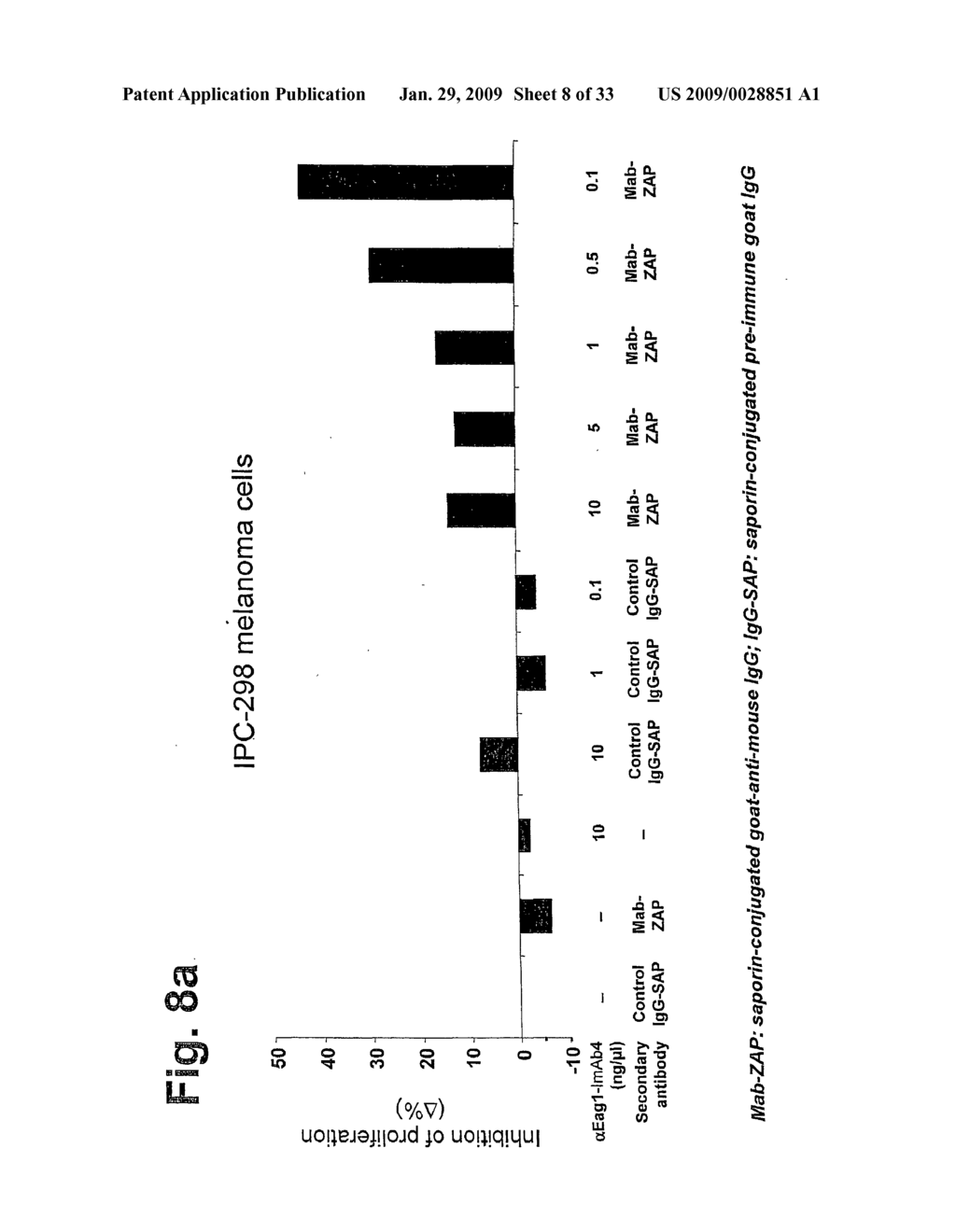 Novel Antibodies Directed to the Mammalian Eag1 Ion Channel Protein - diagram, schematic, and image 09