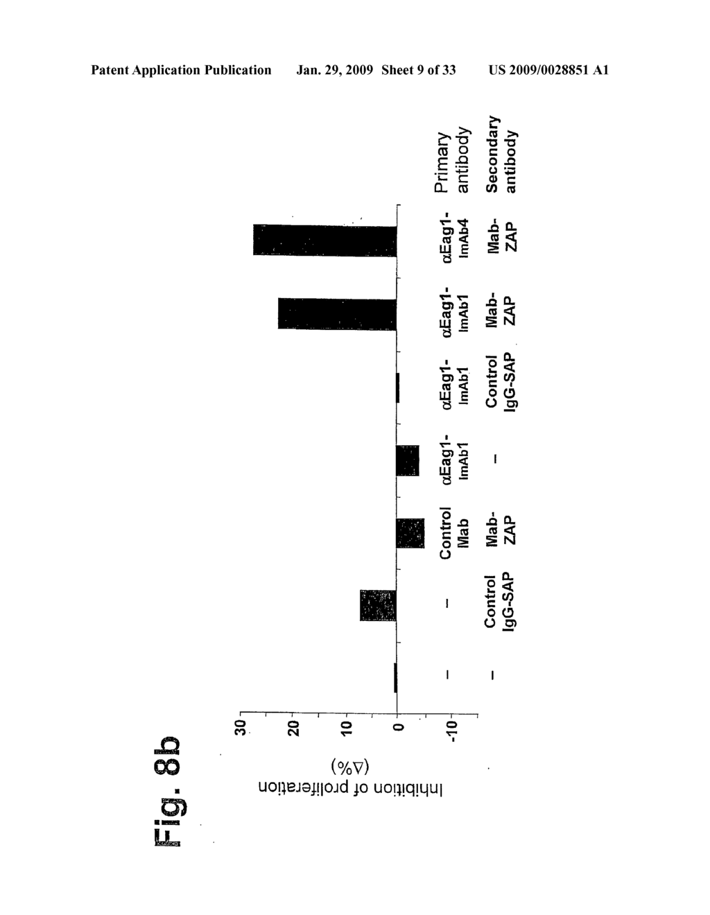 Novel Antibodies Directed to the Mammalian Eag1 Ion Channel Protein - diagram, schematic, and image 10