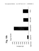 Novel Antibodies Directed to the Mammalian Eag1 Ion Channel Protein diagram and image