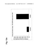 Novel Antibodies Directed to the Mammalian Eag1 Ion Channel Protein diagram and image