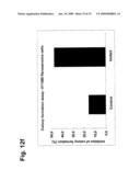 Novel Antibodies Directed to the Mammalian Eag1 Ion Channel Protein diagram and image