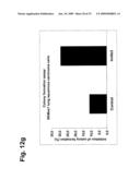 Novel Antibodies Directed to the Mammalian Eag1 Ion Channel Protein diagram and image