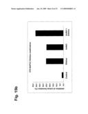 Novel Antibodies Directed to the Mammalian Eag1 Ion Channel Protein diagram and image