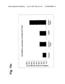 Novel Antibodies Directed to the Mammalian Eag1 Ion Channel Protein diagram and image