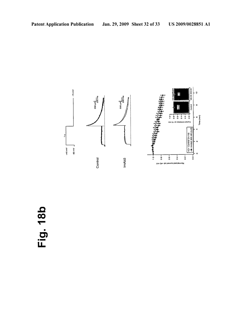 Novel Antibodies Directed to the Mammalian Eag1 Ion Channel Protein - diagram, schematic, and image 33