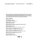 Anti-CD79B Antibodies and Immunoconjugates and Methods of Use diagram and image