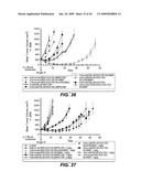 Anti-CD79B Antibodies and Immunoconjugates and Methods of Use diagram and image