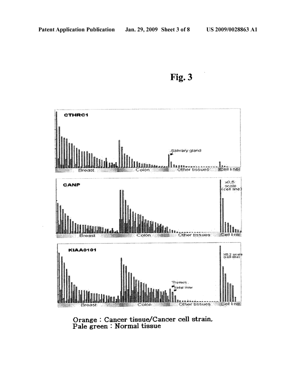 MARKERS FOR DIAGNOSIS OF CANCER AND ITS USE - diagram, schematic, and image 04