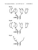 OLIGOMERIC RECEPTOR LIGAND PAIR MEMBER COMPLEXES diagram and image