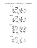 OLIGOMERIC RECEPTOR LIGAND PAIR MEMBER COMPLEXES diagram and image