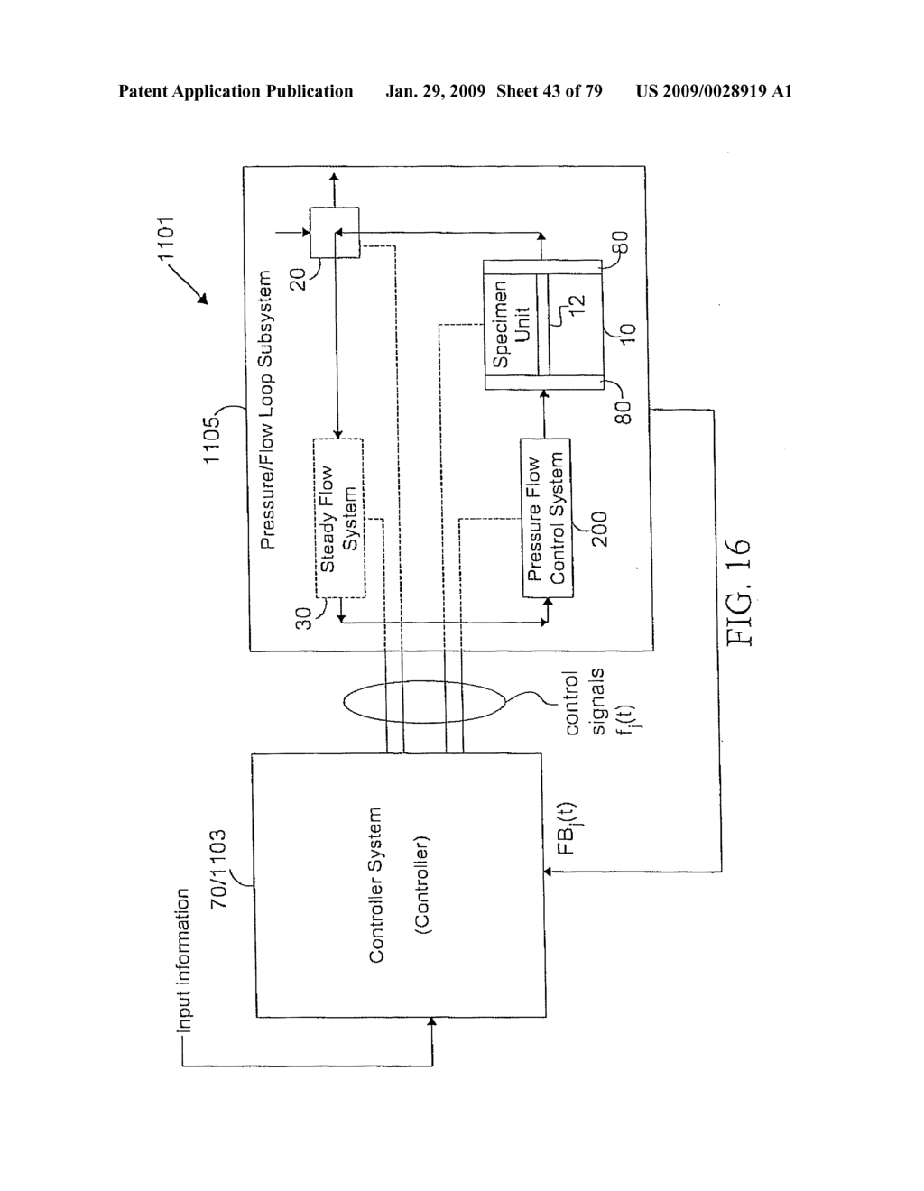 SYSTEMS AND METHODS OF PROMOTING ENGRAFTMENT OF A HYBRID LOWER LIMB ARTERY BYPASS VASCULAR GRAFT IN A MAMMAL - diagram, schematic, and image 44