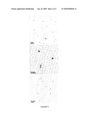 NANOPARTICLE COMPOSITION AND METHODS OF SYNTHESIS THEREOF diagram and image