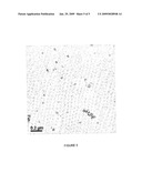 NANOPARTICLE COMPOSITION AND METHODS OF SYNTHESIS THEREOF diagram and image