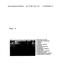 Decontamination solution and its use for denaturation, modification, degradation, solubilisation and removal of proteins, nucleic acid molecules and microorganisms diagram and image