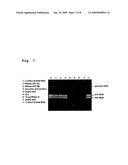 Decontamination solution and its use for denaturation, modification, degradation, solubilisation and removal of proteins, nucleic acid molecules and microorganisms diagram and image