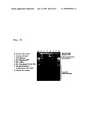 Decontamination solution and its use for denaturation, modification, degradation, solubilisation and removal of proteins, nucleic acid molecules and microorganisms diagram and image