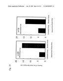 Peptide pet food material having anti-stress action and palatability-increasing effect diagram and image