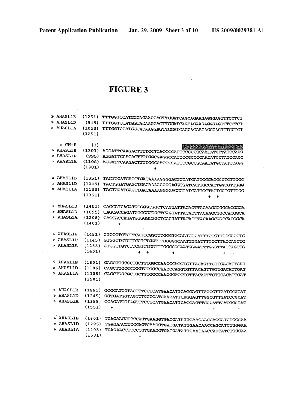 METHODS AND COMPOSITIONS FOR ANALYZING AHASL GENES - diagram, schematic, and image 04