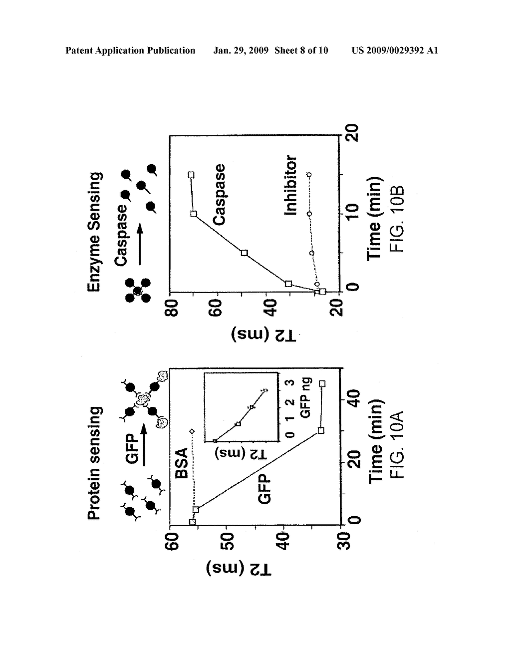 MAGNETIC-NANOPARTICLE CONJUGATES AND METHODS OF USE - diagram, schematic, and image 09