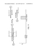 MAGNETIC-NANOPARTICLE CONJUGATES AND METHODS OF USE diagram and image