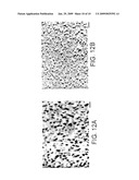 MAGNETIC-NANOPARTICLE CONJUGATES AND METHODS OF USE diagram and image