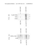 Pharmaceuticals and methods for treating hypoxia and screening methods therefor diagram and image