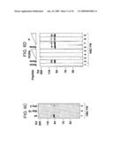 Pharmaceuticals and methods for treating hypoxia and screening methods therefor diagram and image