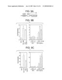 Pharmaceuticals and methods for treating hypoxia and screening methods therefor diagram and image