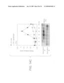 Pharmaceuticals and methods for treating hypoxia and screening methods therefor diagram and image