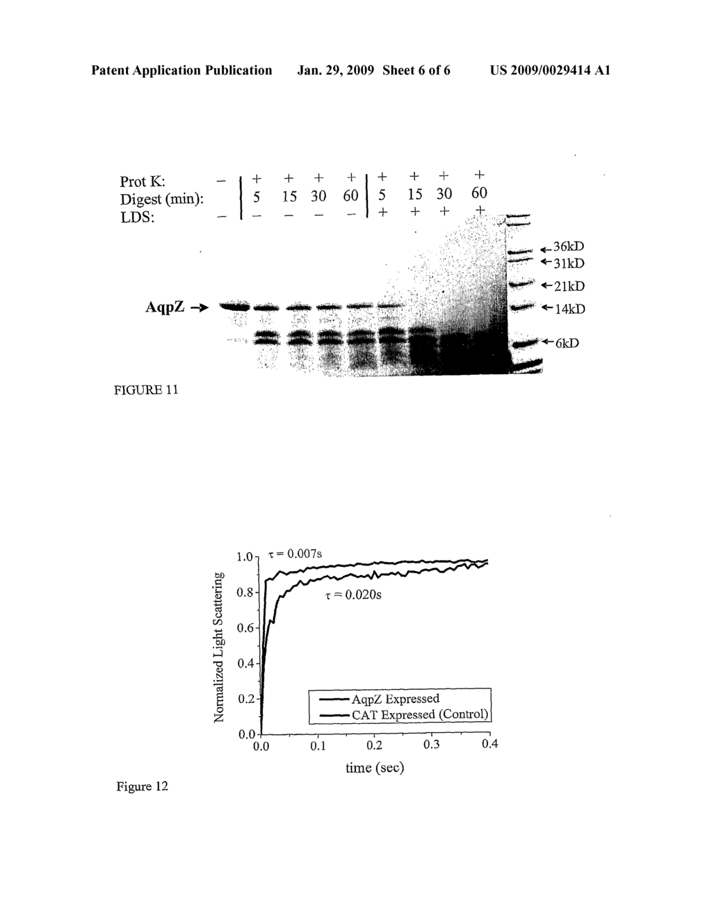 CELL-FREE SYNTHESIS OF MEMBRANE BOUND POLYPEPTIDES - diagram, schematic, and image 07